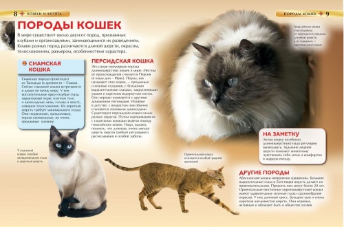 Кошки и котята. Детская энциклопедия- купить в магазине Кассандра, фото, 9785353069126, 