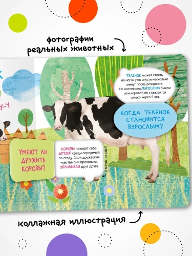 Книжки с окошками. Мамы и малыши- купить в магазине Кассандра, фото, 9785431526855, 