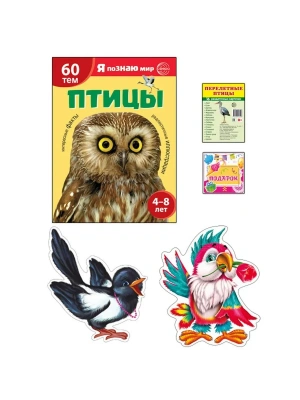 Подарочный комплект с книгой "Птицы"- купить в магазине Кассандра, фото, , 