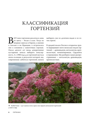 Фотография из отзыва покупателя