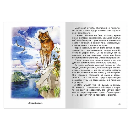 Любовь к жизни. Рассказы- купить в магазине Кассандра, фото, 9785465045360, 