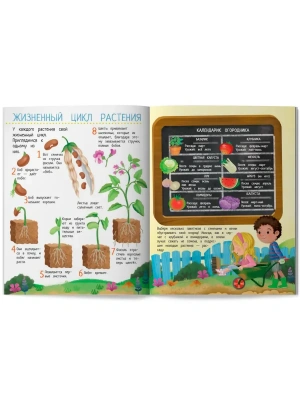 Импортировано из Wildberries