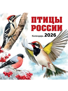 Календарь 2026. Птицы России (300х300 мм) - купить в магазине Кассандра, фото, 9785042169205, 