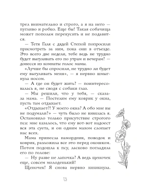Фотография из отзыва покупателя