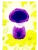 Импортировано из Wildberries Импортировано из Wildberries