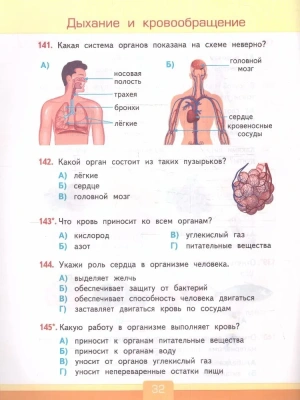 Окружающий мир 3 класс Плешаков. Тесты. 2024. ФГОС. (к новому ФПУ) (с новыми картами)  (четыре краски) Школа России- купить в магазине Кассандра, фото, 9785377196044, 