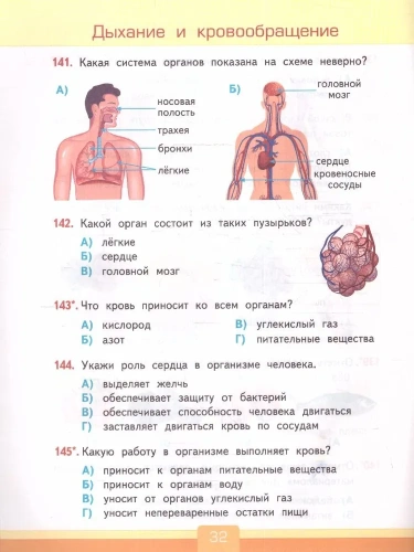 Окружающий мир 3 класс Плешаков. Тесты. 2024. ФГОС. (к новому ФПУ) (с новыми картами)  (четыре краски)- купить в магазине Кассандра, фото, 9785377196044, 