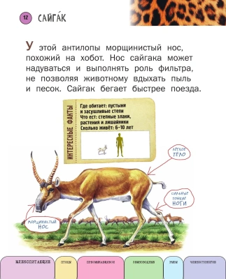 Все животные с крупными буквами- купить в магазине Кассандра, фото, 9785699909131, 