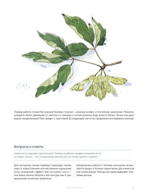 Импортировано из Wildberries