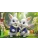 Импортировано из Wildberries Импортировано из Wildberries