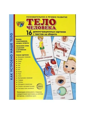 Дем. картинки СУПЕР Тело человека.16 демонстрационных картинок с текстом (173х220 мм) — фото, ISBN 9785994912966