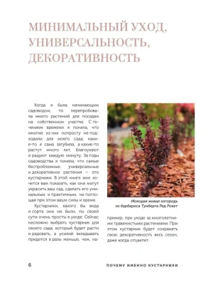 Фотография из отзыва покупателя