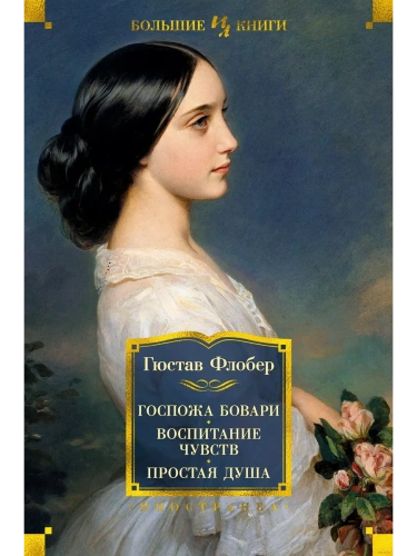 Госпожа Бовари. Воспитание чувств. Простая душа- купить в магазине Кассандра, фото, 9785389190719, 