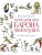Приключения барона Мюнхгаузена (ил. А. Елисеева, послесловие М. Столярова) - купить в магазине Кассандра, фото, 9785042051258, 
