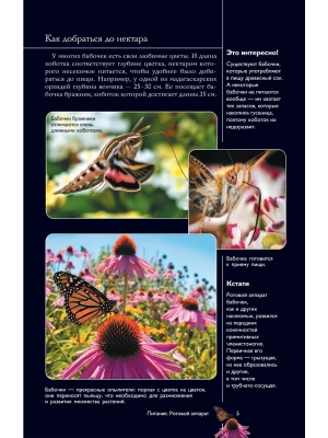 Импортировано из Wildberries