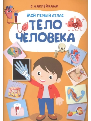 Книжка с наклейками. Мой первый атлас. Тело человека (3454) меловка- купить в магазине Кассандра, фото, 9785465037341, 