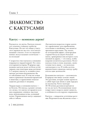 Фотография из отзыва покупателя