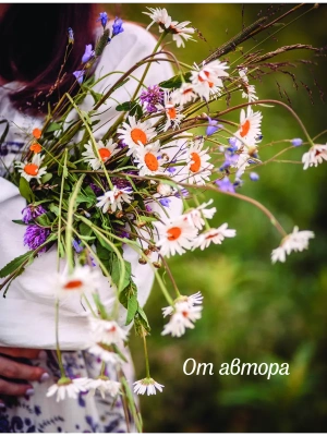 Импортировано из Wildberries