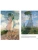 Импортировано из Wildberries Импортировано из Wildberries