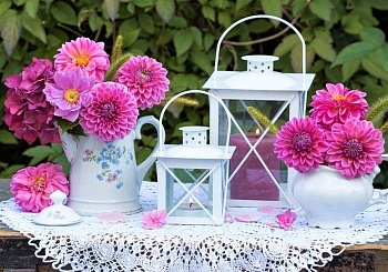 Алмаз мозаика (клас.) 30х40 см, с подр., с полн. заполн.(цв.) Эстетика домашнего сада.(Арт. AC34098) - купить в магазине Кассандра, фото, 4610144892803, 