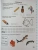 Импортировано из Wildberries Импортировано из Wildberries