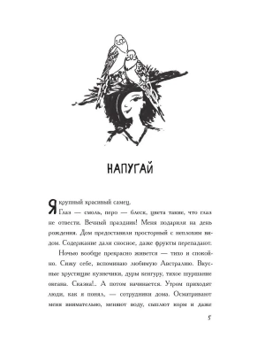 Импортировано из Wildberries