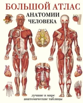 Большой атлас анатомии человека- купить в магазине Кассандра, фото, 9785170779093, 