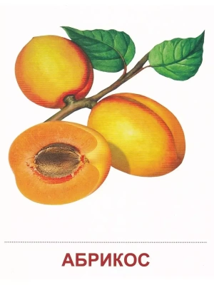 Импортировано из Wildberries