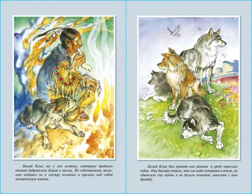 Белый клык- купить в магазине Кассандра, фото, 9785978109535, 