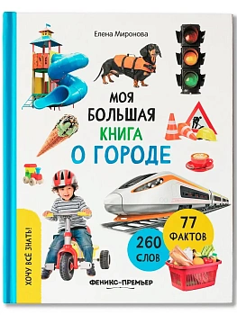 Моя большая книга о городе — фото, ISBN 9785222453414