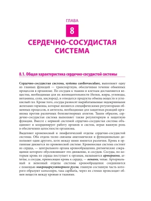 Фотография из отзыва покупателя