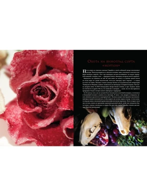 Импортировано из Wildberries