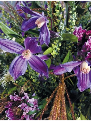Импортировано из Wildberries
