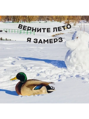 Импортировано из Wildberries