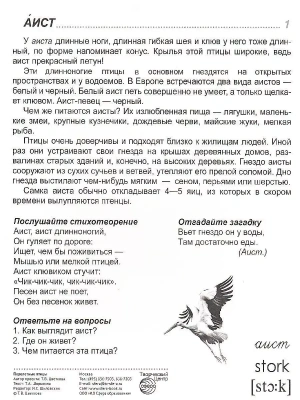 Импортировано из Wildberries