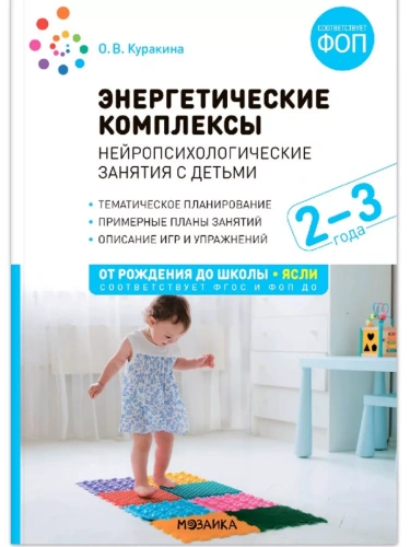 ФГОС.ФОП.Энергетич.комплексы.Нейропсихологич. занятия с детьми. 2-3 года. Методическое пособие.- купить в магазине Кассандра, фото, 9785431542312, 