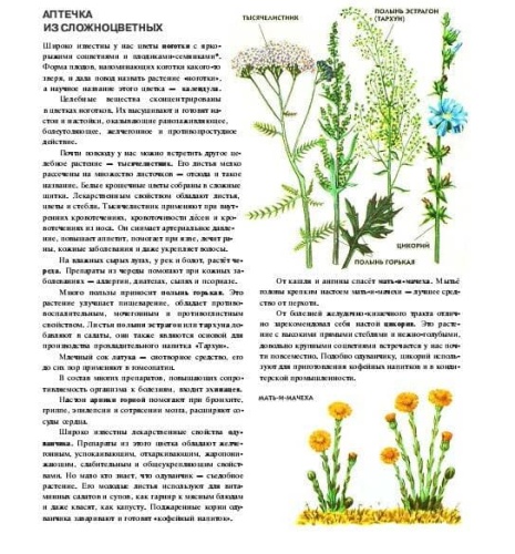 Полная энциклопедия.Растения- купить в магазине Кассандра, фото, 9785699886951, 