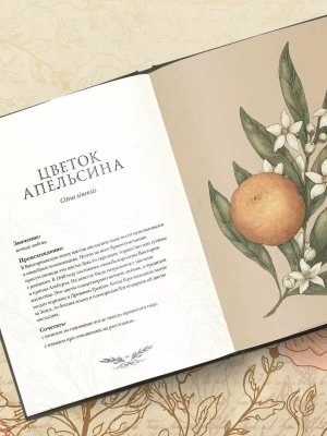 Фотография из отзыва покупателя