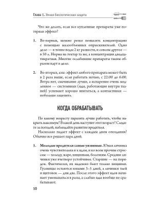 Фотография из отзыва покупателя