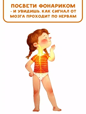 Импортировано из Wildberries