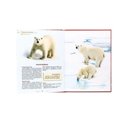 Красная книга России. Энциклопедия для детей.- купить в магазине Кассандра, фото, 9785378321100, 