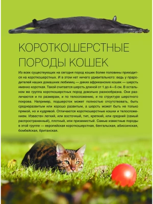 Фотография из отзыва покупателя