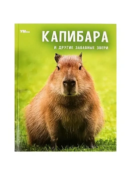 Капибара и другие забавные звери. Энциклопедия. 197х255мм. 7БЦ. 48 стр. Умка в кор.15шт - купить в магазине Кассандра, фото, 9785506091059, 