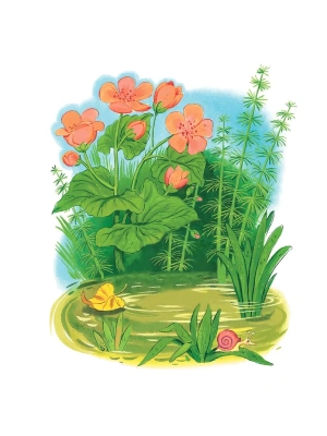 Импортировано из Wildberries