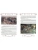 Импортировано из Wildberries Импортировано из Wildberries