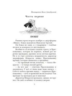 Фотография из отзыва покупателя