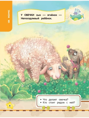 Импортировано из Wildberries