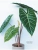 Импортировано из Wildberries Импортировано из Wildberries