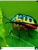 Импортировано из Wildberries Импортировано из Wildberries
