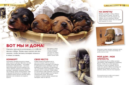 Собаки и щенки. Детская энциклопедия- купить в магазине Кассандра, фото, 9785353069133, 